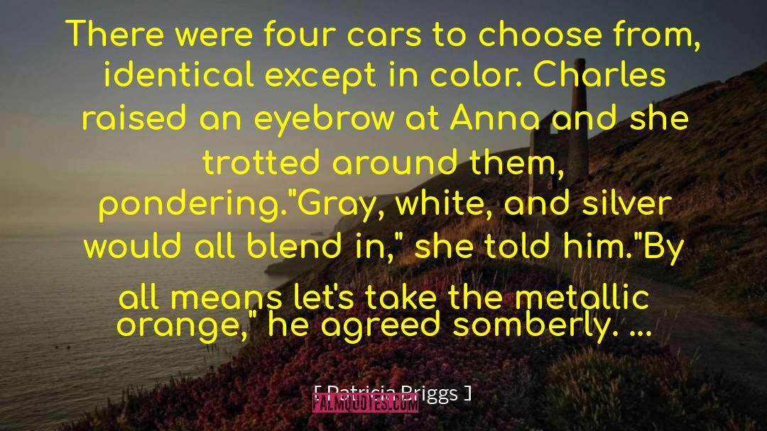 Blend In quotes by Patricia Briggs