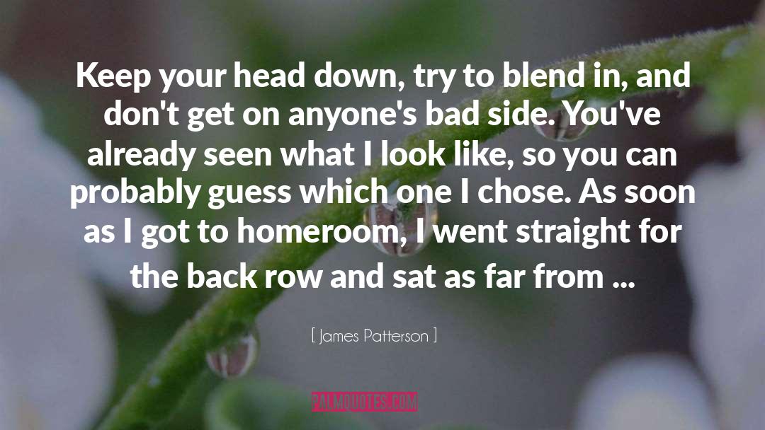 Blend In quotes by James Patterson