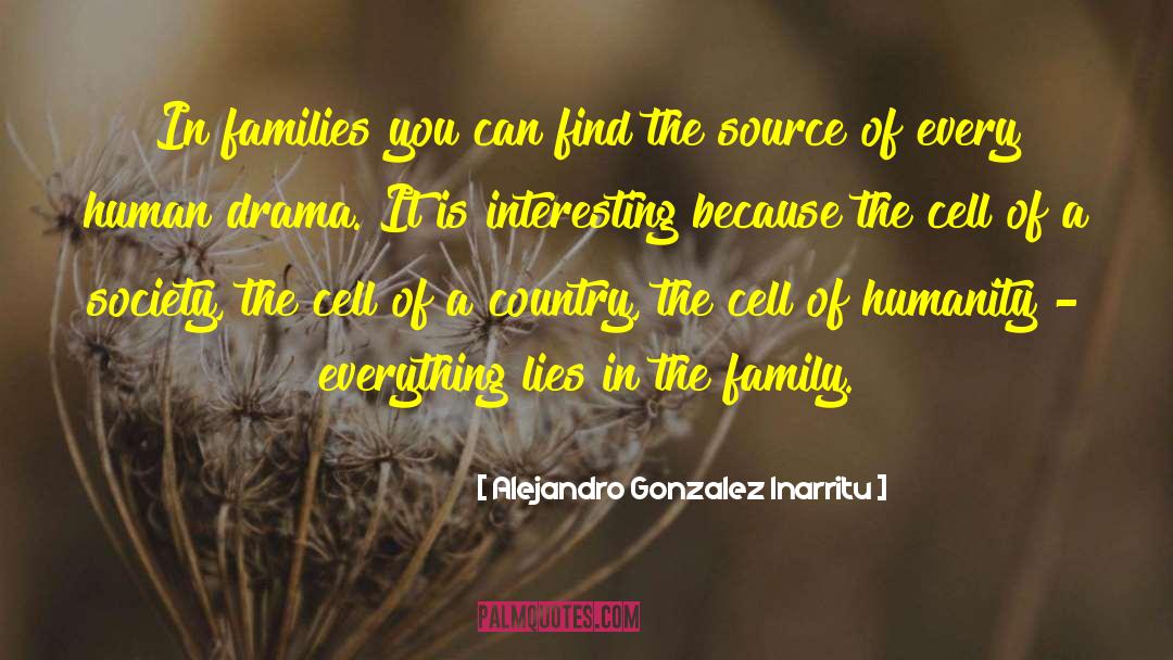 Blended Families quotes by Alejandro Gonzalez Inarritu