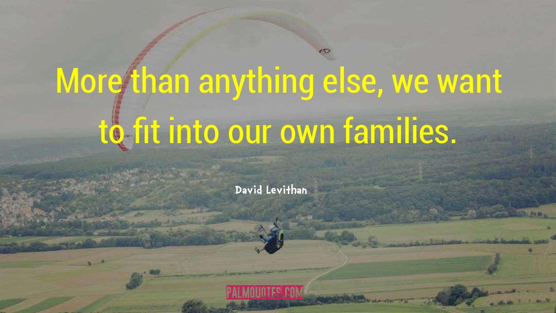 Blended Families quotes by David Levithan