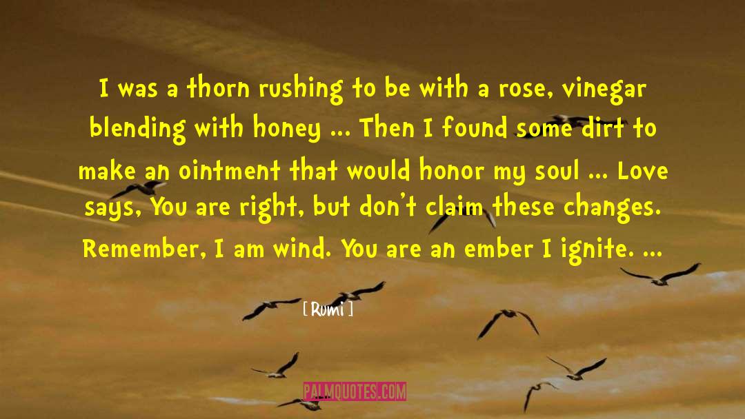Blending In quotes by Rumi