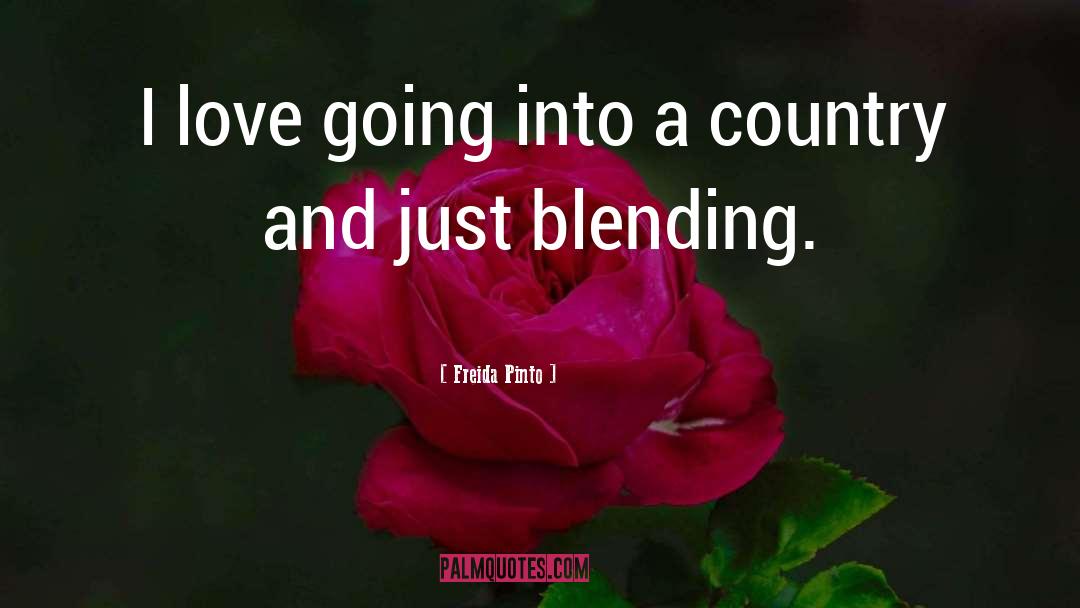 Blending quotes by Freida Pinto