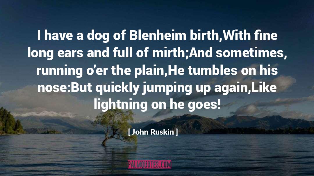 Blenheim quotes by John Ruskin