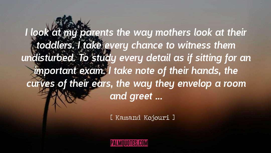 Blessed Mother quotes by Kamand Kojouri