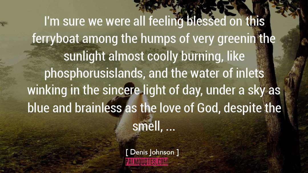 Blessed quotes by Denis Johnson