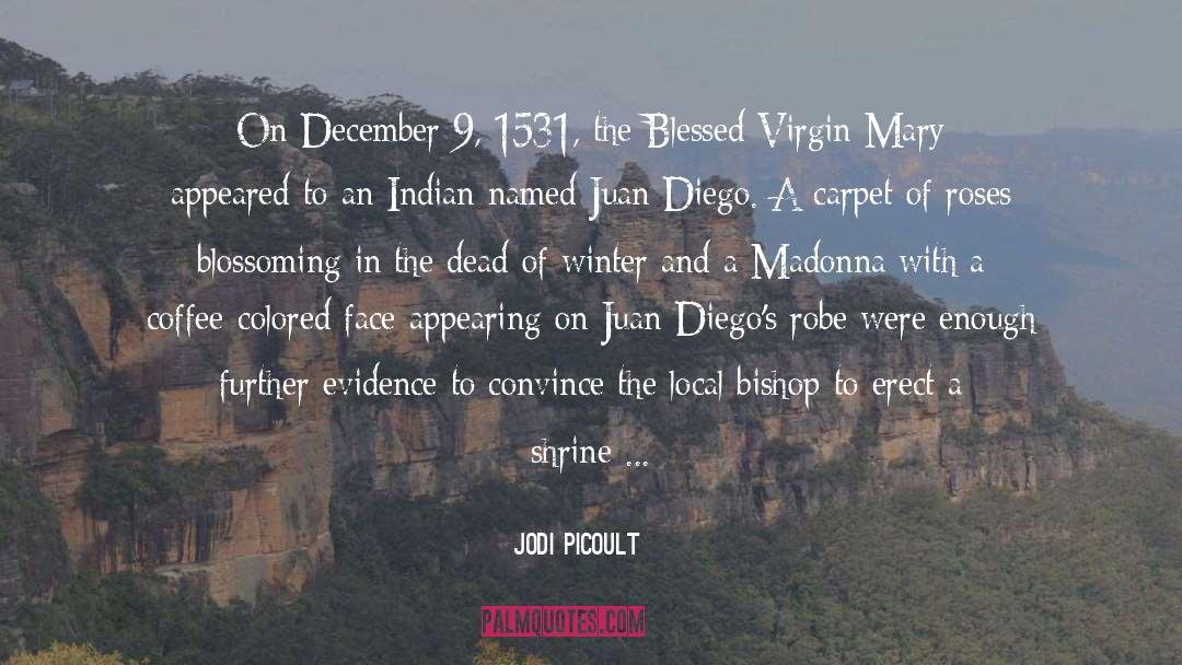 Blessed Virgin Mary quotes by Jodi Picoult