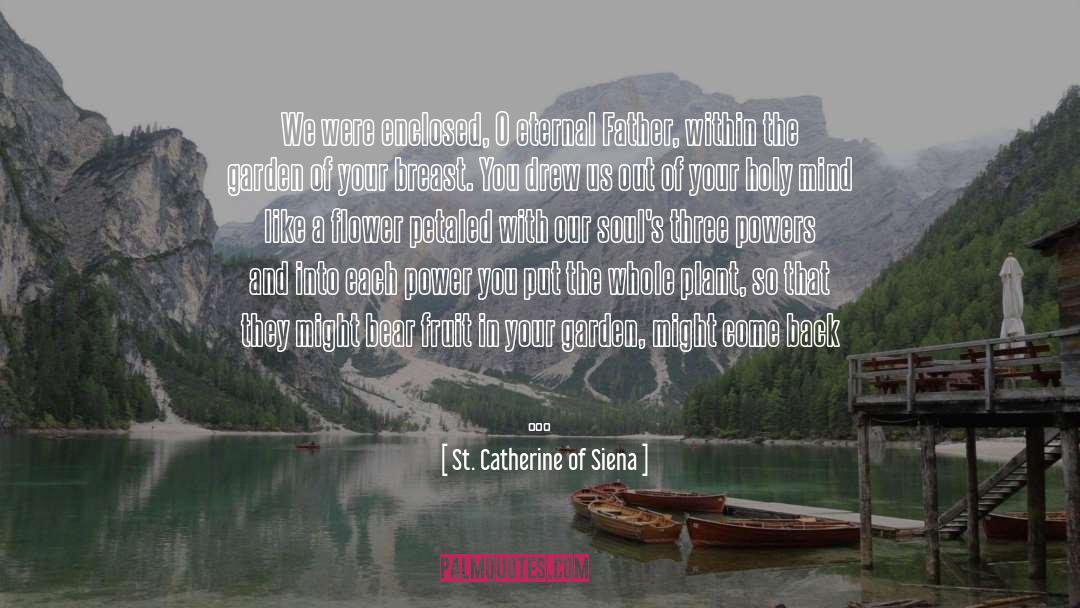 Blessedness quotes by St. Catherine Of Siena