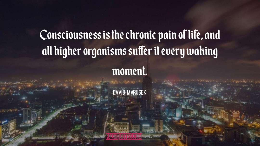 Blessings Of The Moment quotes by David Marusek