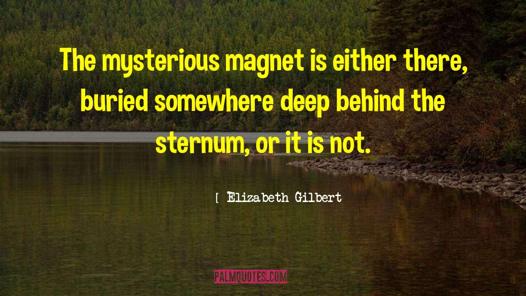 Blind Attraction quotes by Elizabeth Gilbert