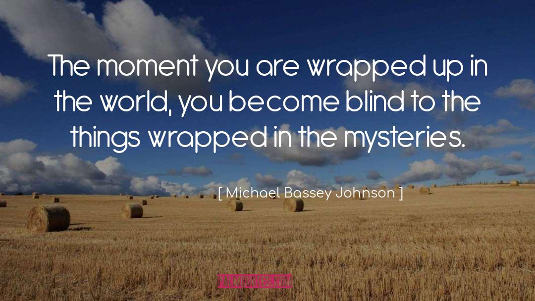 Blind Attraction quotes by Michael Bassey Johnson