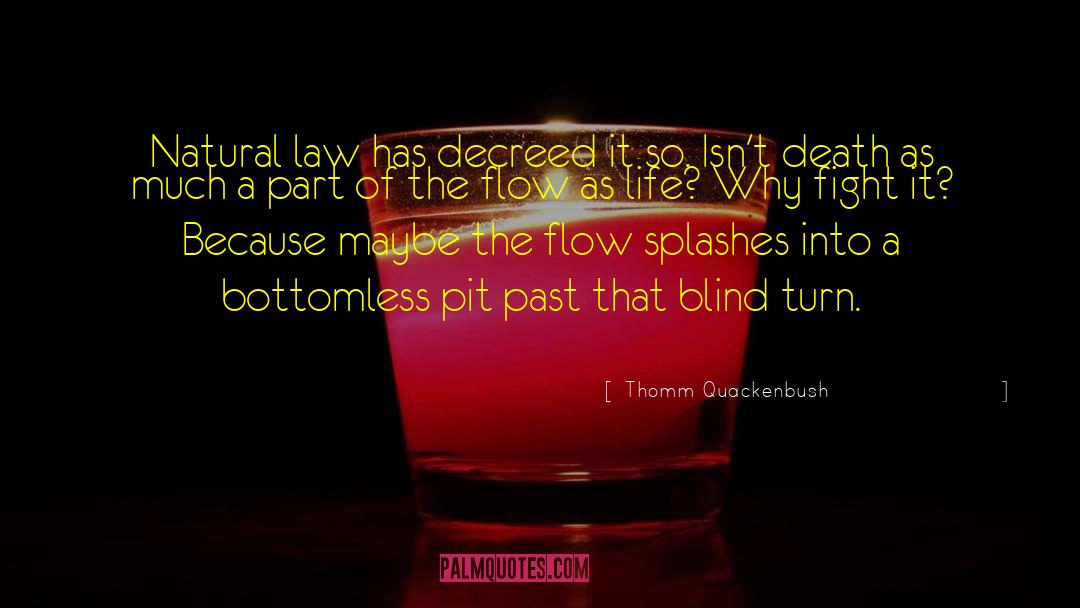 Blind Belief quotes by Thomm Quackenbush