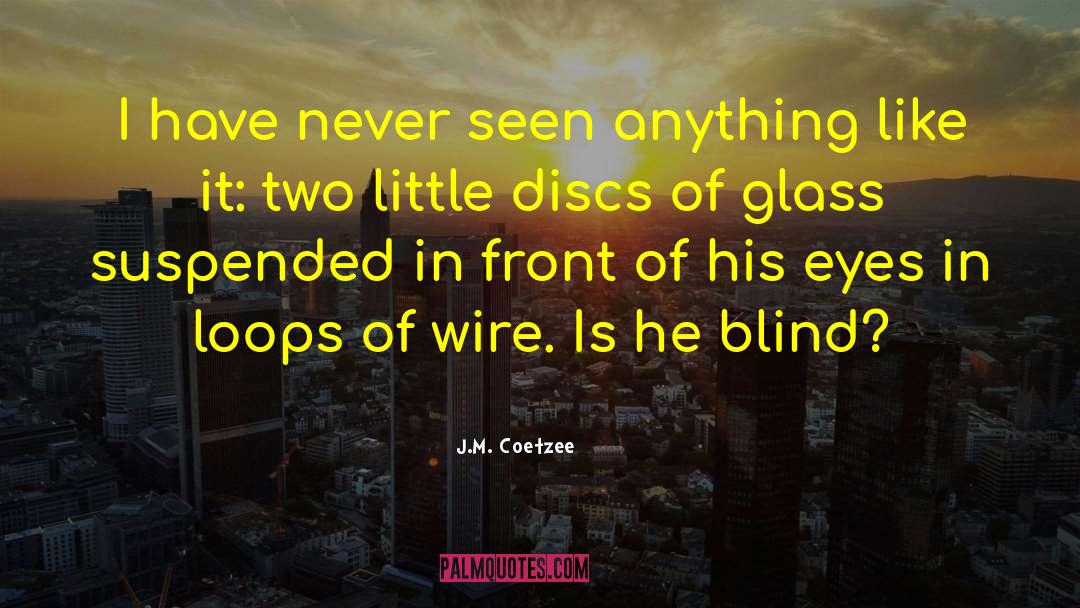 Blind Date quotes by J.M. Coetzee