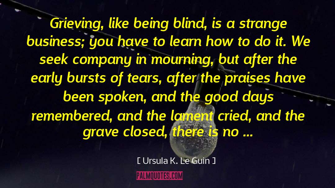 Blind Hero quotes by Ursula K. Le Guin