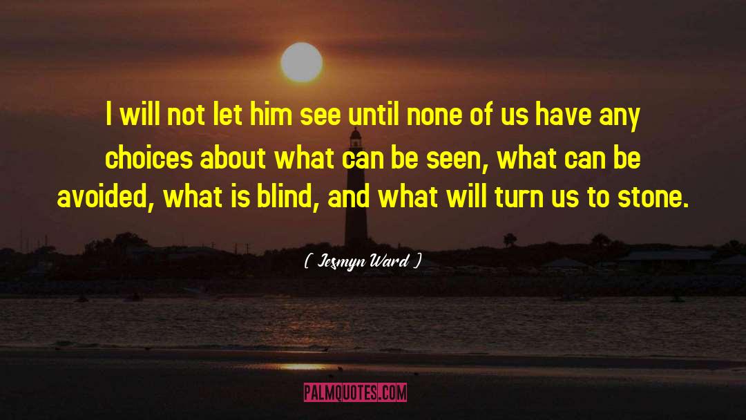 Blind Lady quotes by Jesmyn Ward