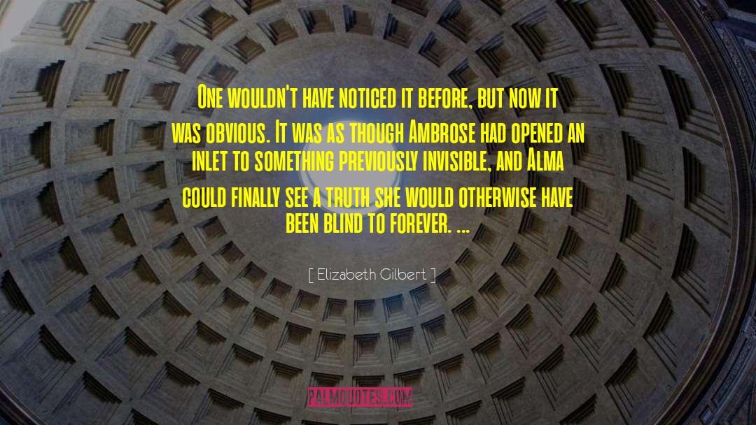 Blind Mag quotes by Elizabeth Gilbert