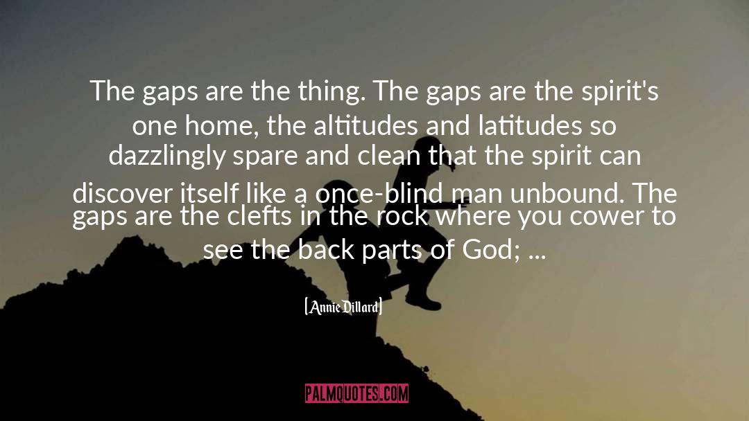 Blind Man quotes by Annie Dillard