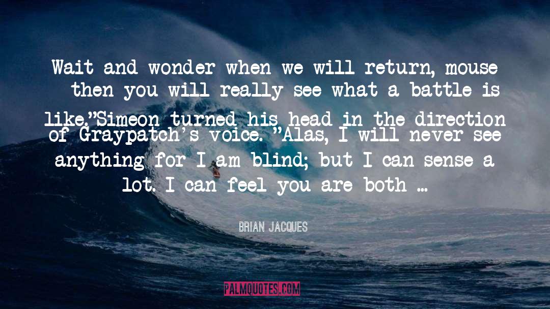 Blind Spots quotes by Brian Jacques
