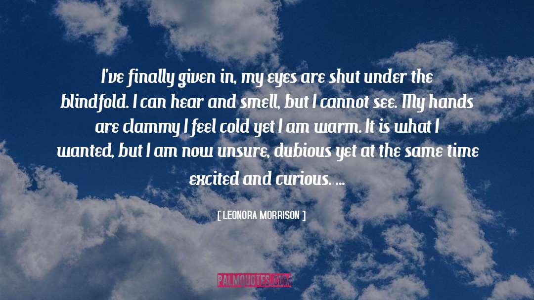 Blindfold quotes by LEONORA MORRISON