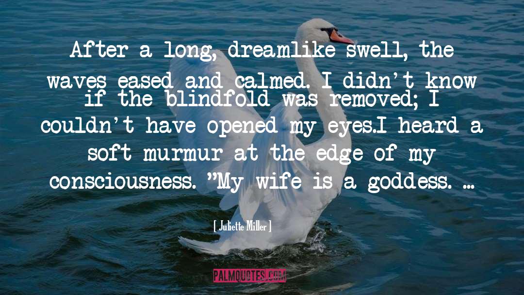 Blindfold quotes by Juliette Miller