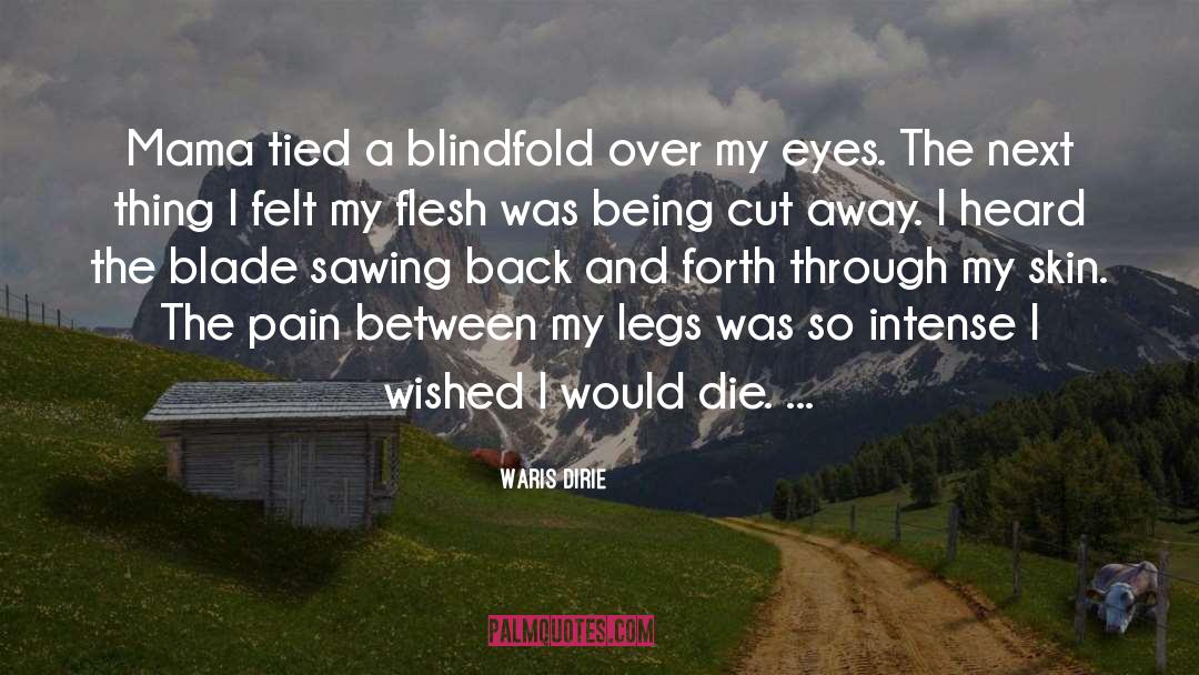 Blindfold quotes by Waris Dirie