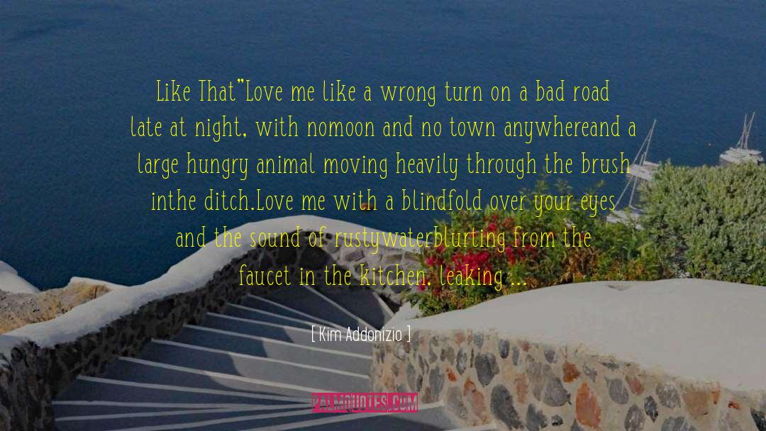 Blindfold quotes by Kim Addonizio