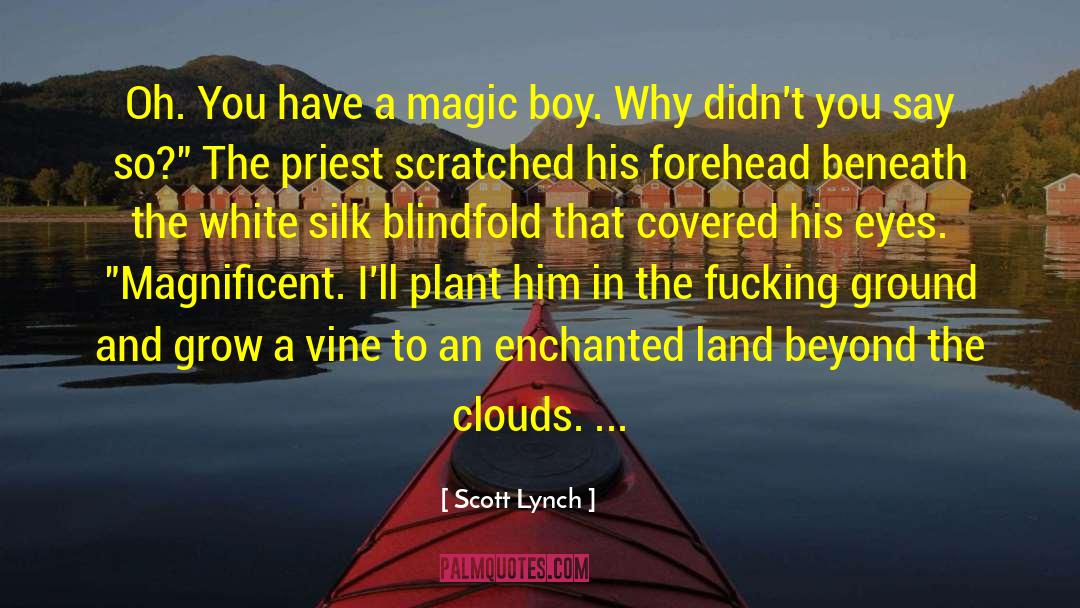 Blindfold quotes by Scott Lynch
