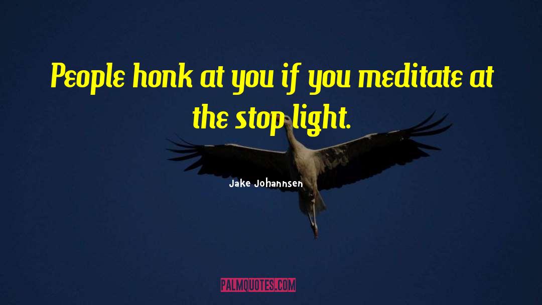 Blinding Light quotes by Jake Johannsen