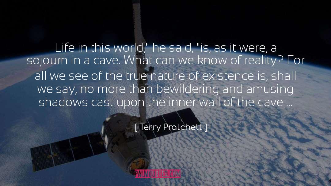 Blinding Light quotes by Terry Pratchett