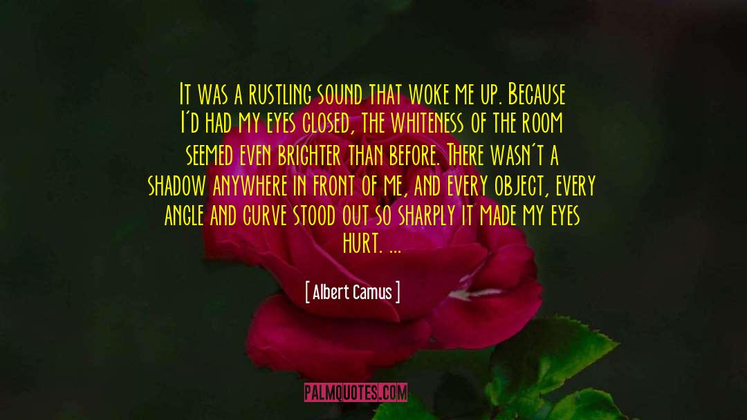 Blinding Light quotes by Albert Camus