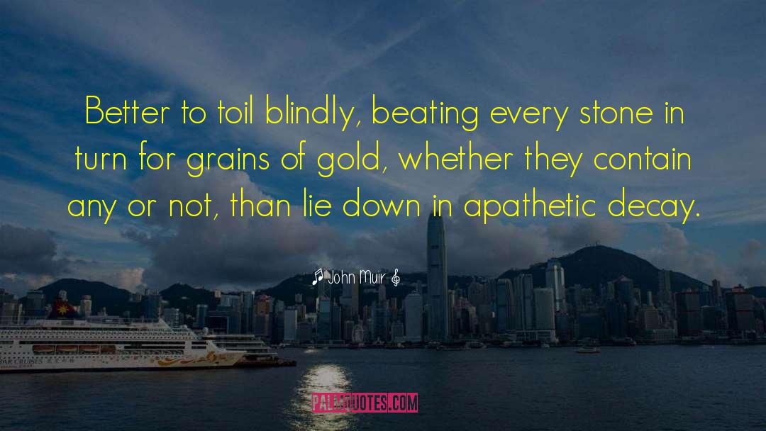Blindly quotes by John Muir