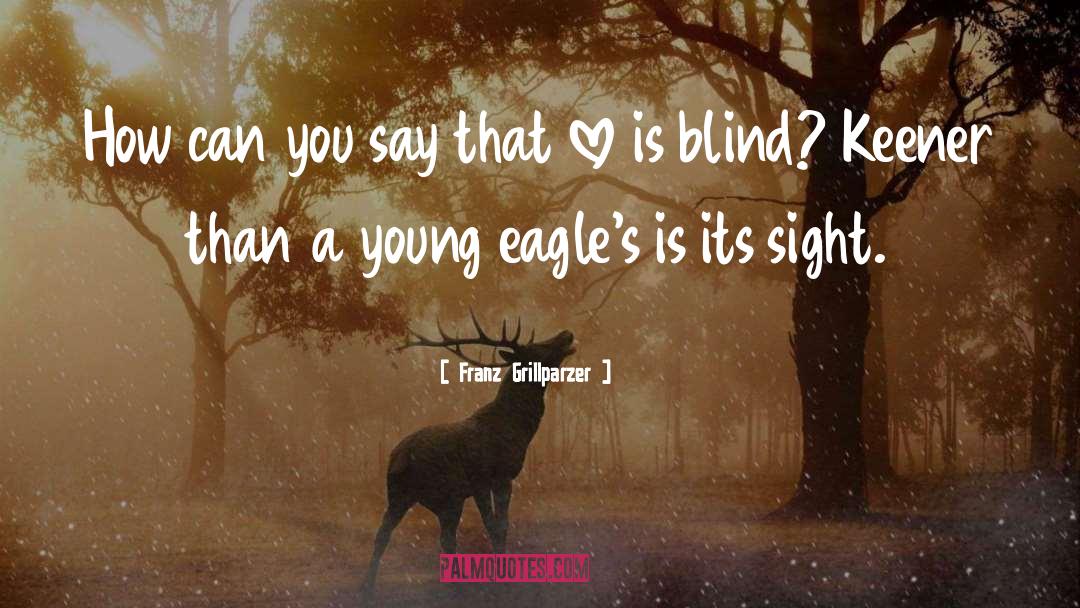 Blindness quotes by Franz Grillparzer