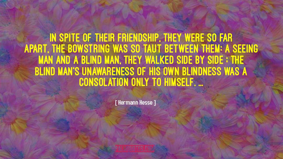 Blindness quotes by Hermann Hesse