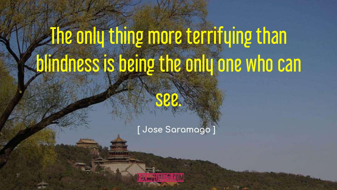 Blindness quotes by Jose Saramago