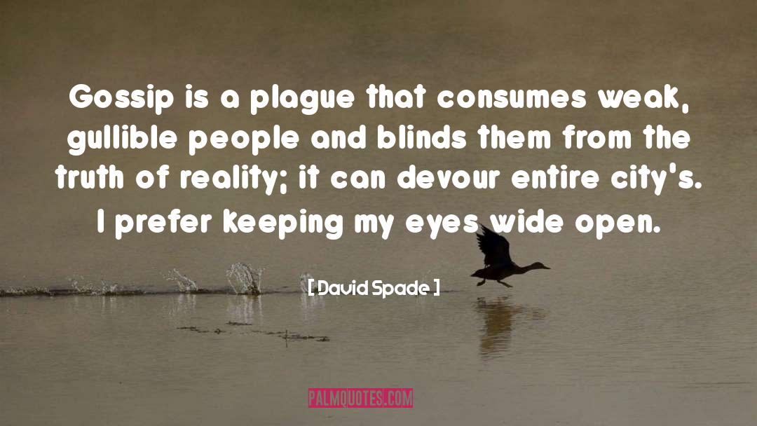 Blinds quotes by David Spade