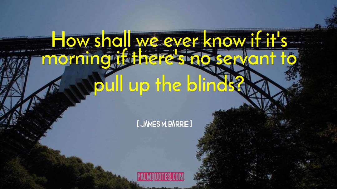 Blinds quotes by James M. Barrie