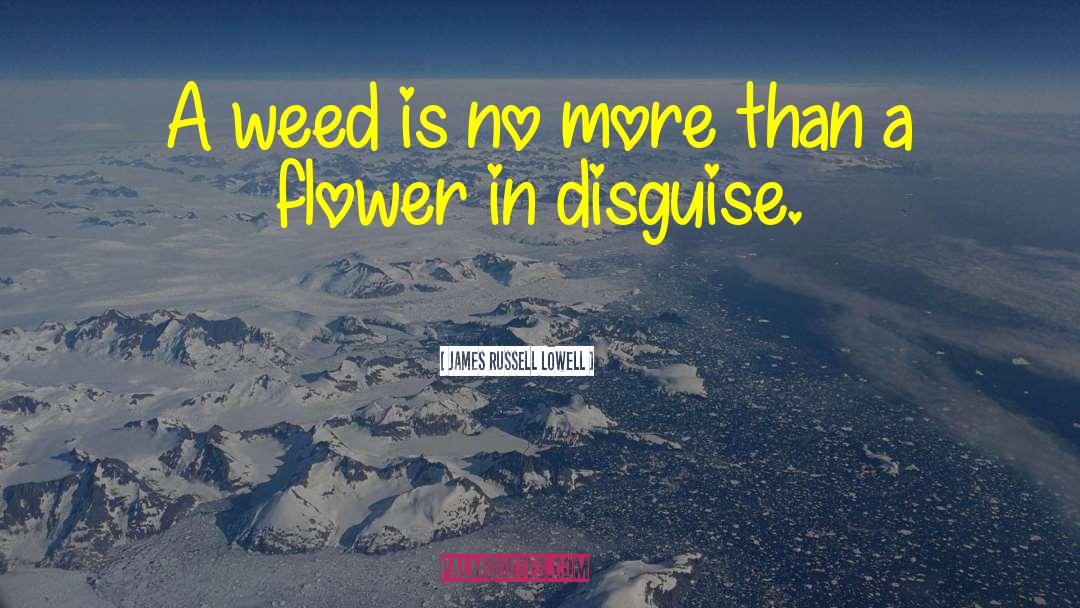 Blindside Weed quotes by James Russell Lowell