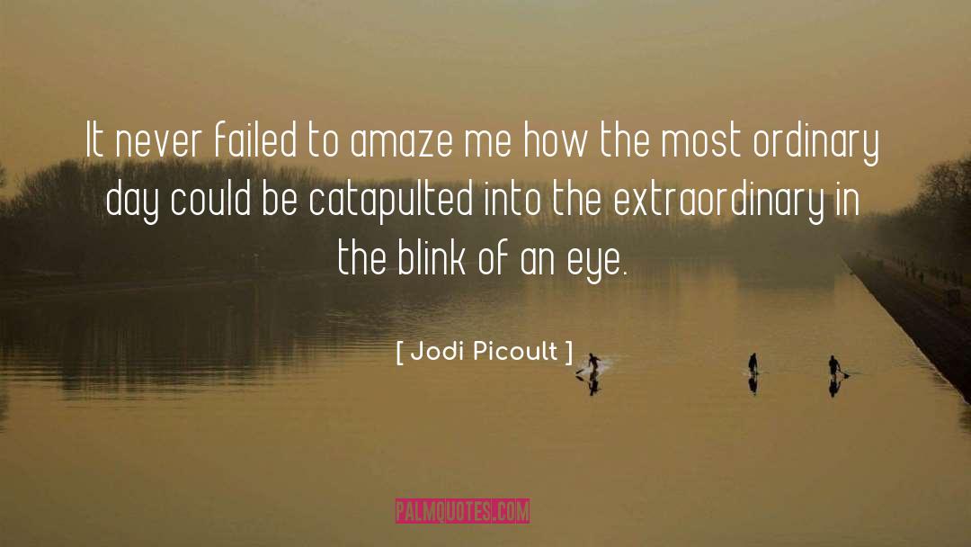 Blink Of An Eye quotes by Jodi Picoult