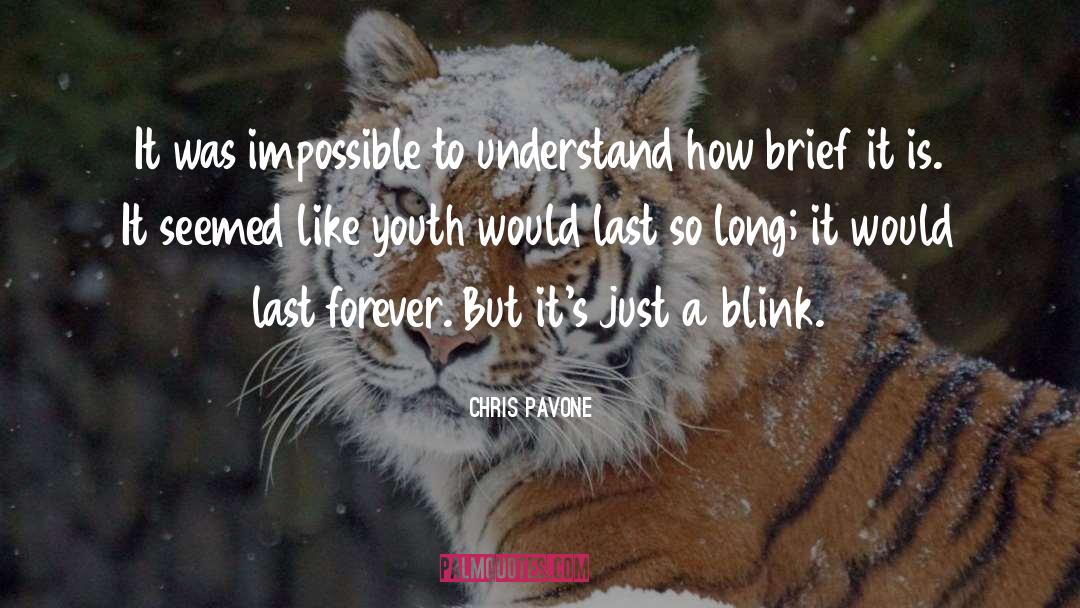 Blink quotes by Chris Pavone