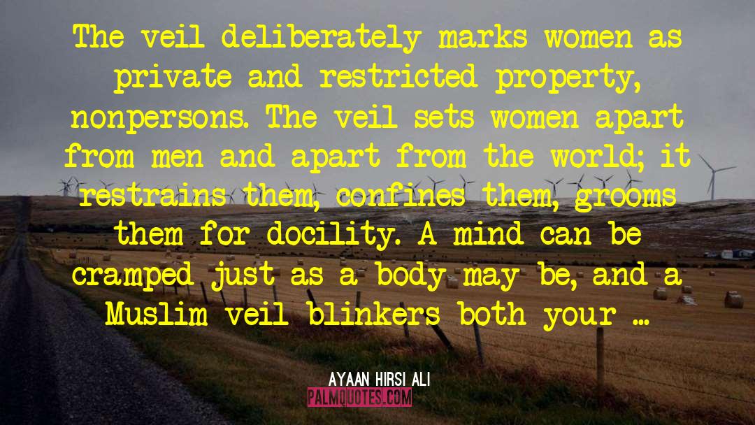 Blinkers quotes by Ayaan Hirsi Ali