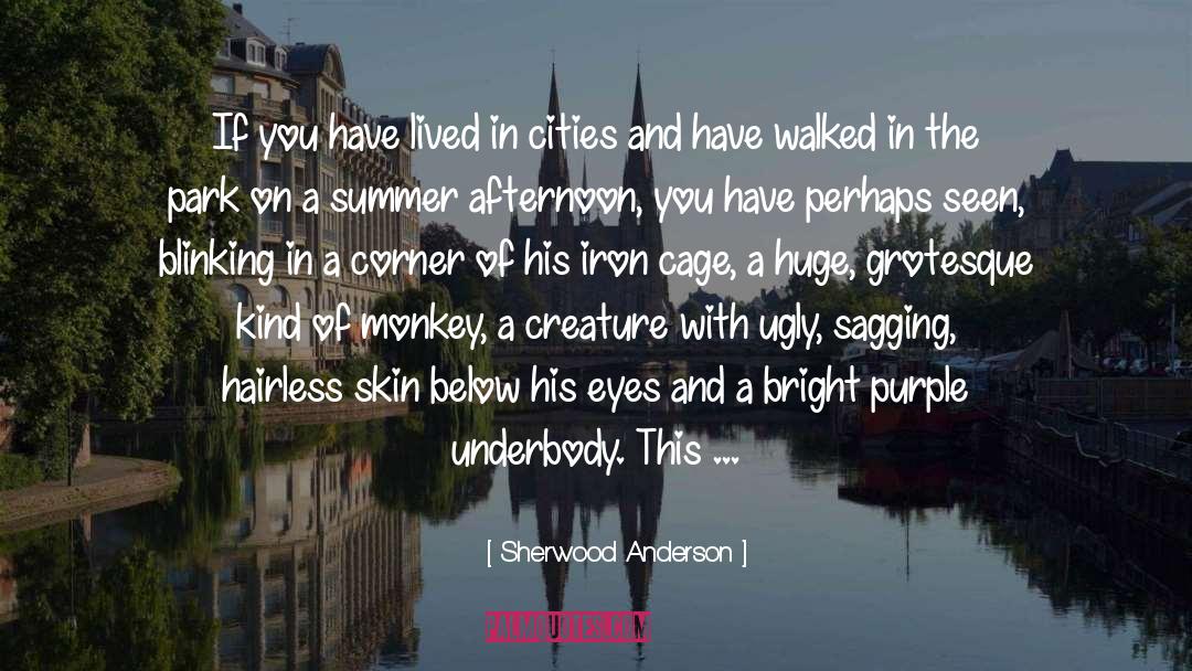 Blinking quotes by Sherwood Anderson