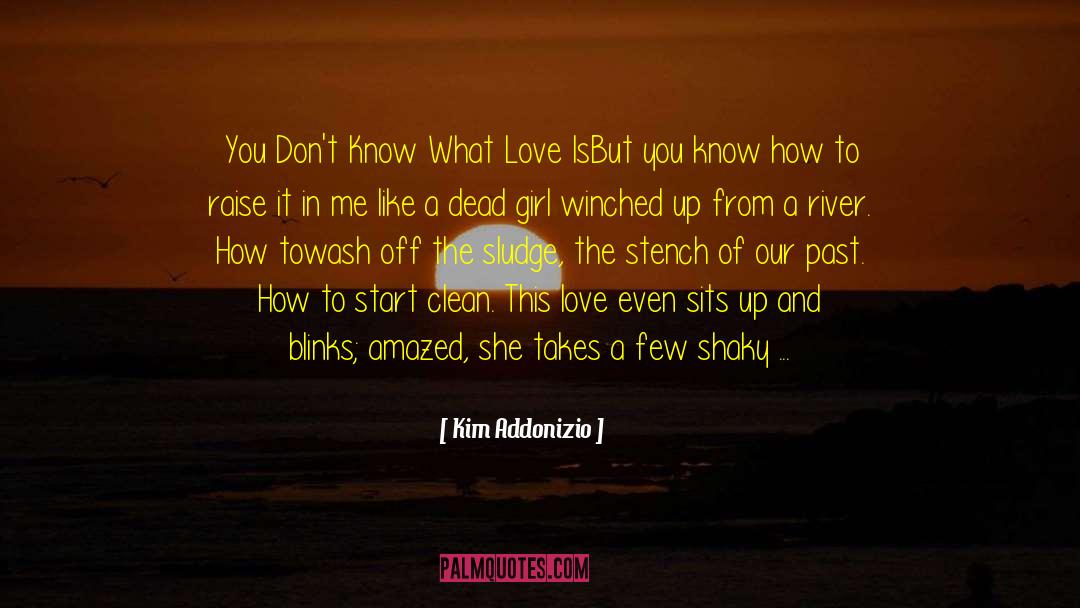 Blinks quotes by Kim Addonizio