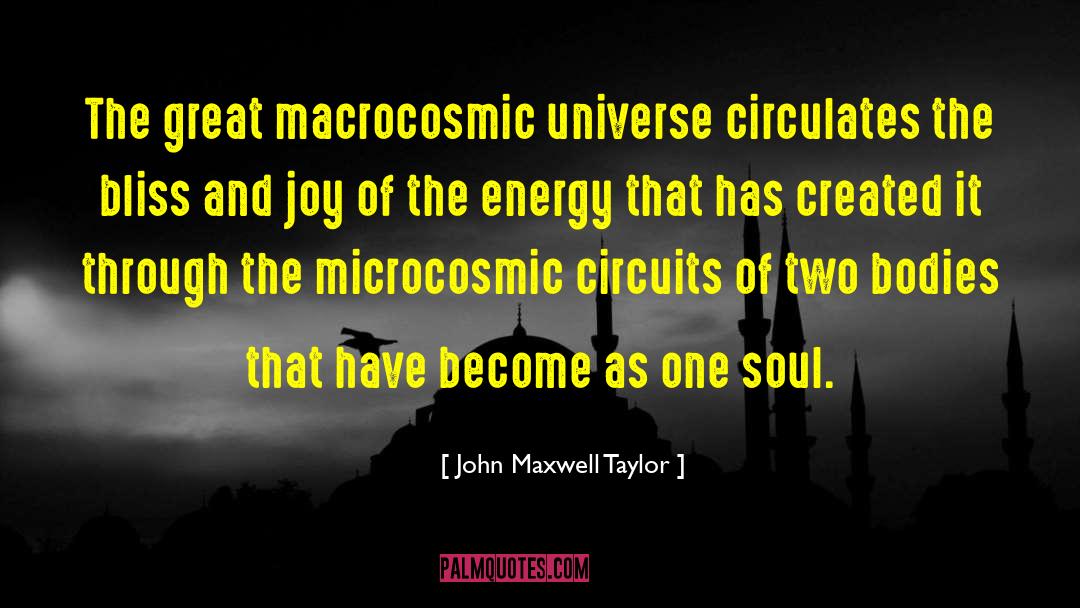 Bliss And Joy quotes by John Maxwell Taylor