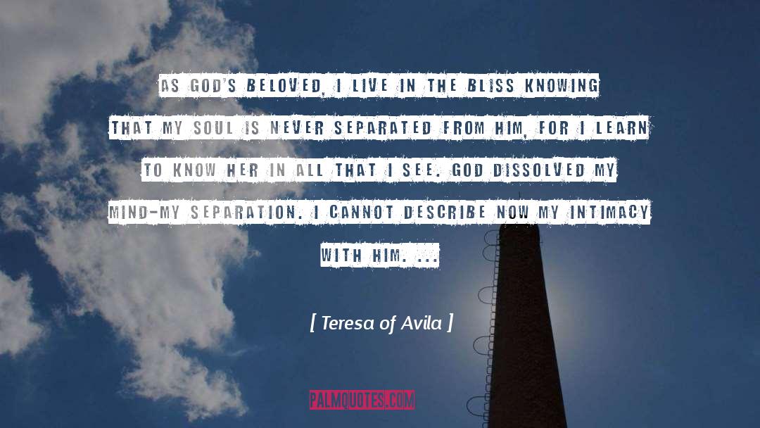 Bliss Catchers quotes by Teresa Of Avila