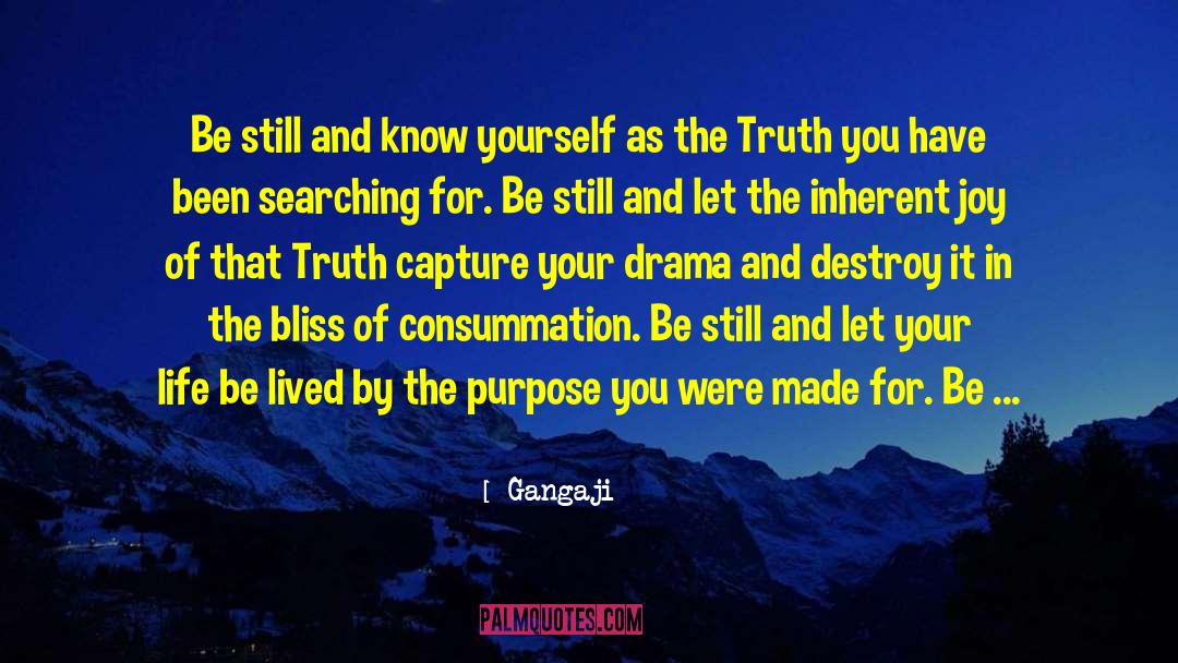 Bliss Definition quotes by Gangaji