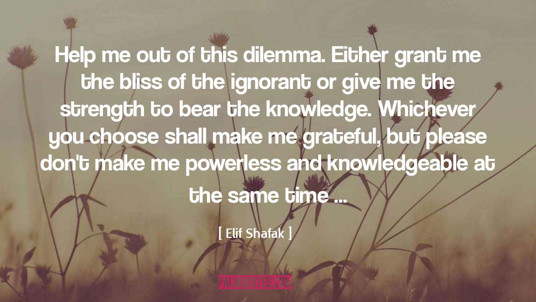 Bliss Llewellyn quotes by Elif Shafak