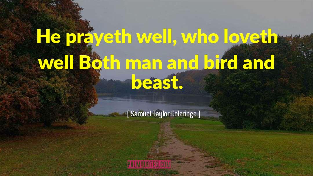 Bliss Taylor quotes by Samuel Taylor Coleridge