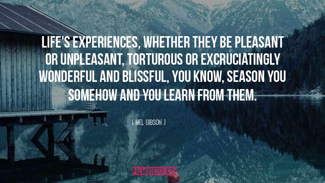 Blissful Perceptions quotes by Mel Gibson