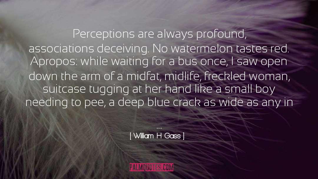 Blissful Perceptions quotes by William H Gass