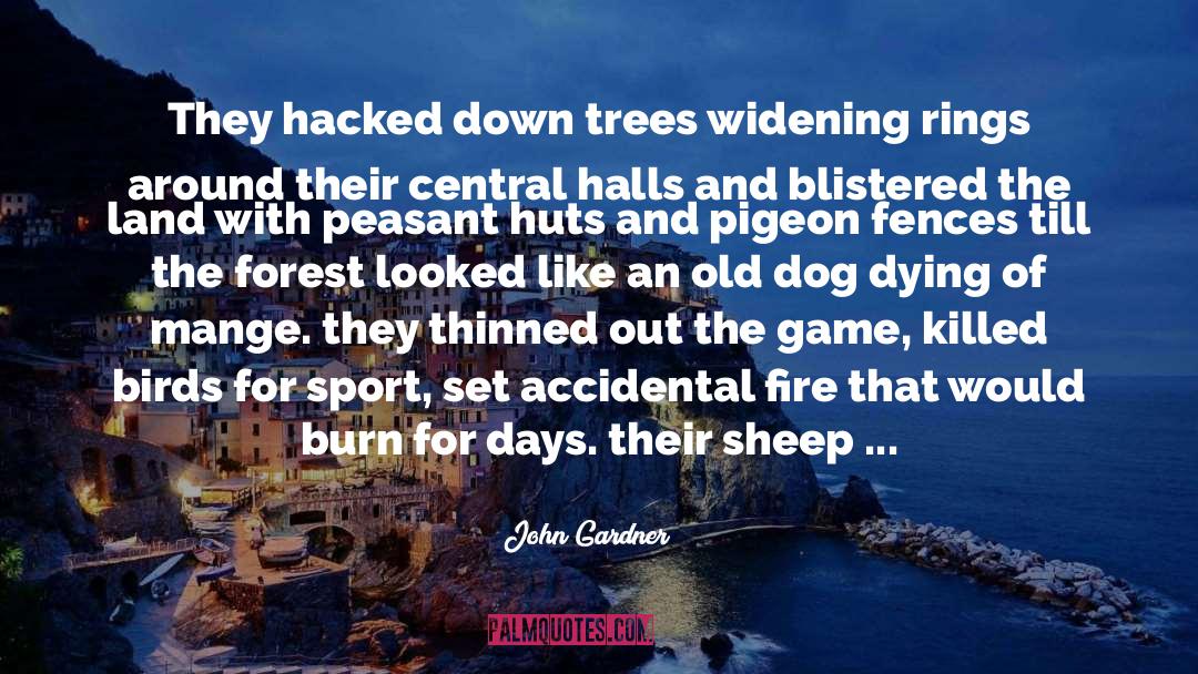Blistered quotes by John Gardner