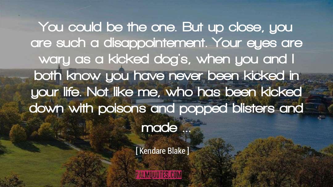 Blisters quotes by Kendare Blake